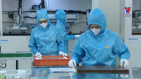 Bản tin tiếng Anh ngày 20/12/2023