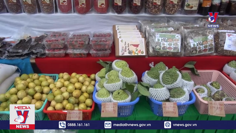 Bản tin thời sự 20h ngày 21/12/2023