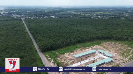 Đồng Nai sẽ chi hơn 200 tỷ đồng bồi thường cao tốc Biên Hòa – Vũng Tàu