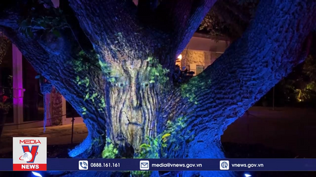 “Cây thông thái” mang đến câu chuyện cổ tích thời hiện đại