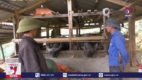 Bản tin thời sự 11h ngày 21/12/2023