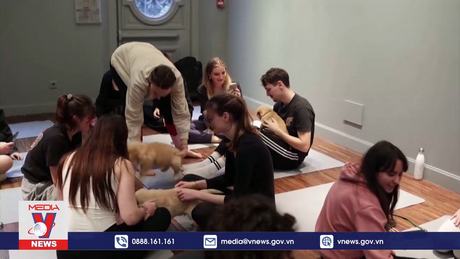 Rũ bỏ muộn phiền với “yoga cùng thú cưng”