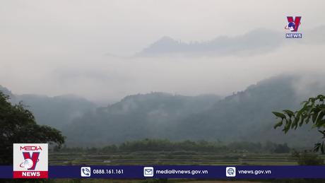 Chủ động phòng chống rét cho gia súc ở miền núi Nghệ An 