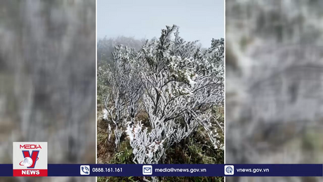 Băng giá bao phủ các đỉnh núi cao Lào Cai