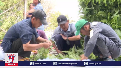 Đồng bào Công giáo tại Kon Tum hân hoan chào đón Giáng sinh