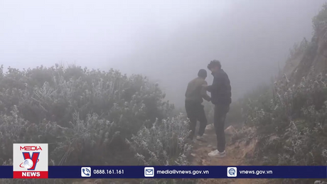 Xuất hiện băng giá trên vùng cao Mù Cang Chải, Yên Bái