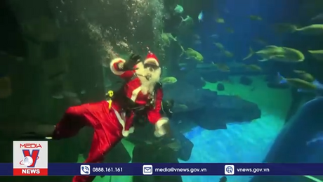 Ông già Noel ở Rio (Brazil) xuống thủy cung đón Giáng sinh