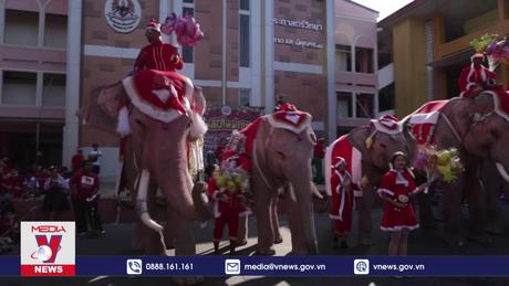Những chú voi hóa thân thành ông già Noel