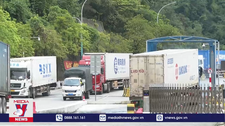 Hoạt động xuất nhập khẩu nhộn nhịp tại Lạng Sơn