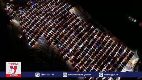 Kỷ lục cây thông “ô tô” khổng lồ