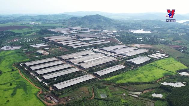 Góc nhìn VNews: Tiên phong phát triển kinh tế xanh - kinh tế tuần hoàn