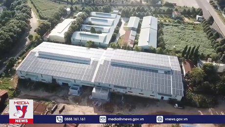 Xử nghiêm sai phạm phát triển điện gió, mặt trời