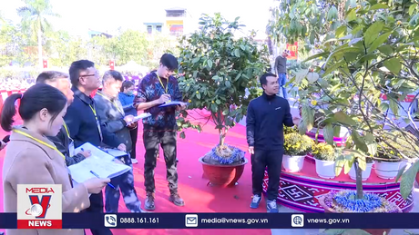 Huyện miền núi Quảng Ninh đạt chuẩn Nông thôn mới