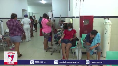 WHO cảnh báo mối đe dọa của bệnh sốt xuất huyết