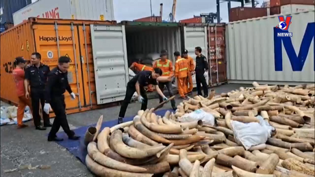 Đường dây nóng 389 ngày 25/12/2023