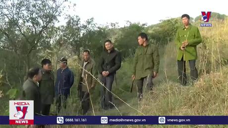 Bảo vệ tốt rừng tạo sinh kế cho người dân 