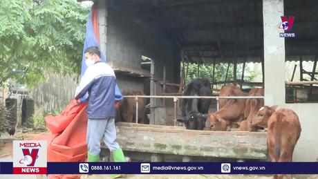 Bản tin thời sự 8h ngày 25/12/2023