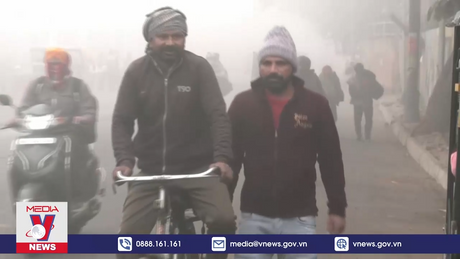 Sương mù ảnh hưởng xấu đến giao thông tại Ấn Độ