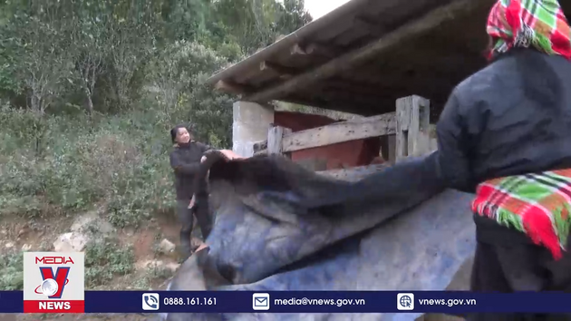 Lạng Sơn bảo vệ gia súc vùng núi cao