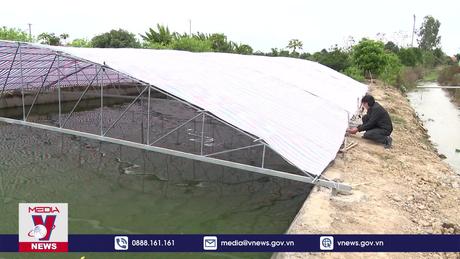 Nam Định chống rét trên các ao nuôi thủy sản