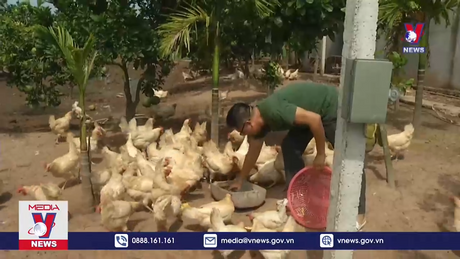 Hỗ trợ nông dân vay vốn phát triển kinh tế