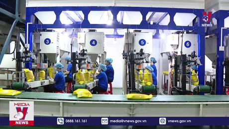 Bản tin thời sự 08h ngày 26/12/2023