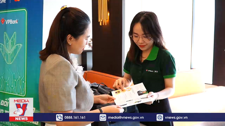 Giải pháp quản lý dòng tiền hiệu quả cho doanh nghiệp