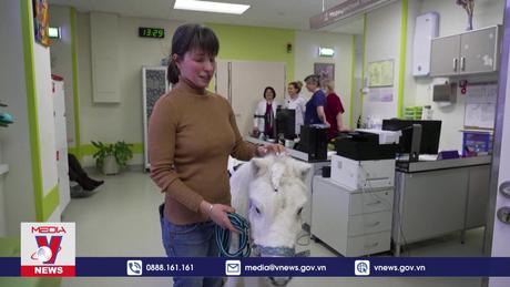 Trị liệu bằng động vật giải tỏa tâm lý cho bệnh nhân