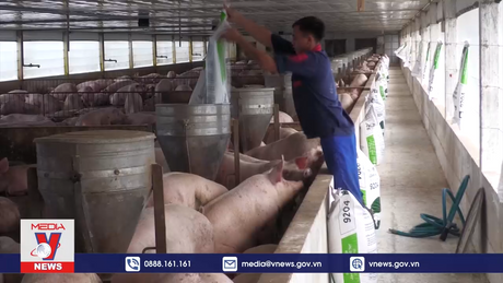 Tái cơ cấu lại ngành Nông nghiệp góp phần nâng cao thu nhập cho người dân