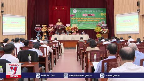 Ngành cao su nỗ lực vượt khó, phát triển bền vững