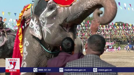 Sôi động lễ hội voi Chitwan của Nepal