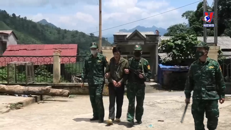 Đường dây nóng 389 ngày 29/12/2023