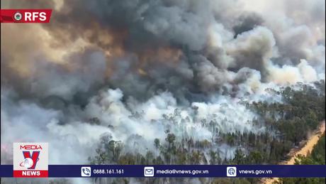 Cháy rừng gây thiệt hại nặng nề nhất trong năm 2023