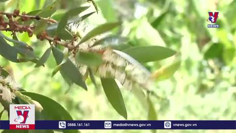 Bản tin thời sự 8h ngày 29/12/2023