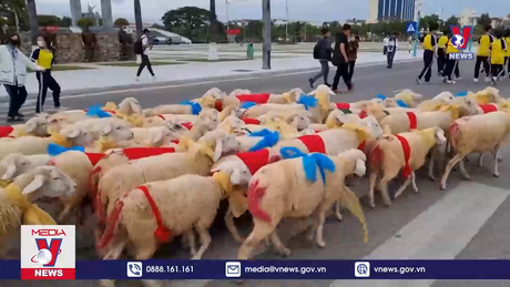 Bản tin thời sự 22h ngày 28/12/2023