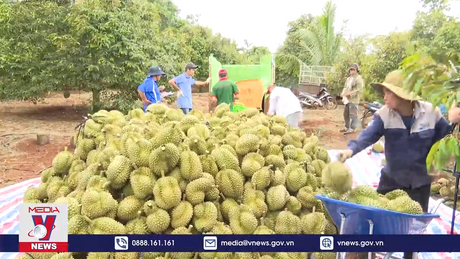 Xuất khẩu rau quả vượt nhiều nhóm ngành chủ lực