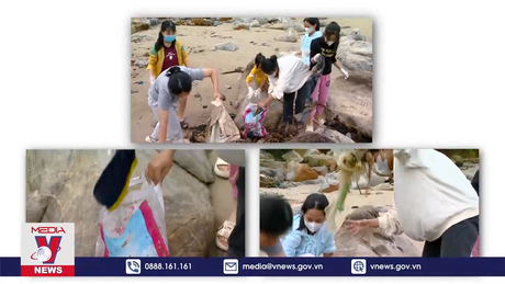 Chung tay bảo vệ môi trường biển