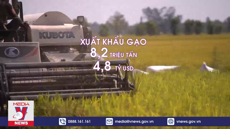 Nỗ lực của nền kinh tế Việt Nam