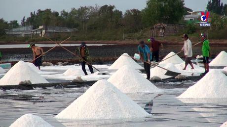Thông điệp lịch sử: Nghề làm muối ở Bạc Liêu-Di sản văn hoá phi vật thể quốc gia
