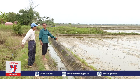 Đảng viên đi đầu trong xây dựng nông thôn mới nâng cao