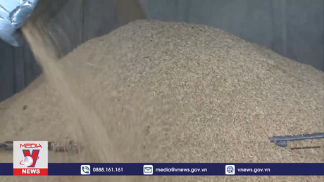 Nga gia hạn lệnh cấm xuất khẩu gạo đến giữa năm 2024