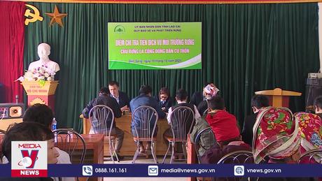 Việt Nam giàu tiềm năng kinh doanh tín chỉ carbon rừng