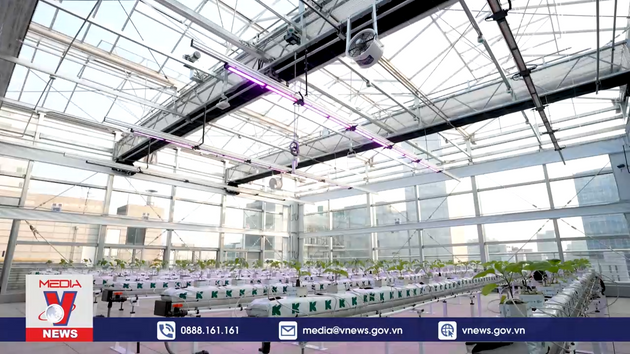 Hàn Quốc và nỗ lực chuyển đổi xanh trong năm 2023