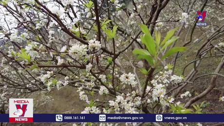 Cao nguyên Mộc Châu - Điểm trải nghiệm thiên nhiên hàng đầu thế giới