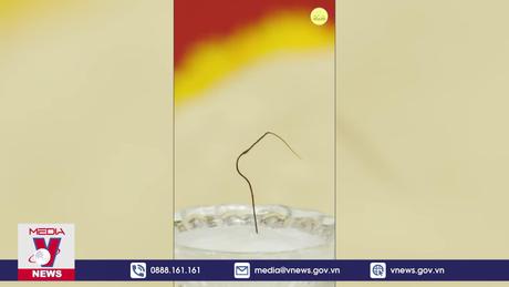 Tỉnh Quảng Ninh thông tin về 