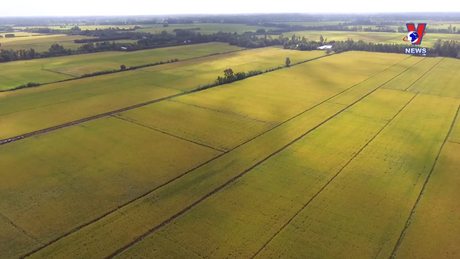 Bản tin tiếng Anh ngày 02/01/2024