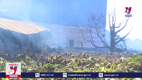 Đắk Nông đóng cửa lò sấy cà phê gây ô nhiễm