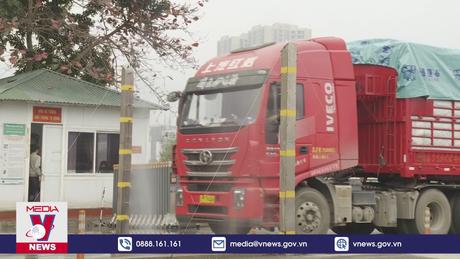 Hoạt động xuất nhập khẩu đầu năm tại Lào Cai ổn định