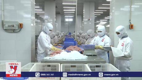 Cá tra Việt Nam “song hành” xuất khẩu và tiêu thụ nội địa