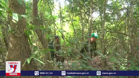 Áp lực đối với công tác bảo vệ rừng ở Ea Sô